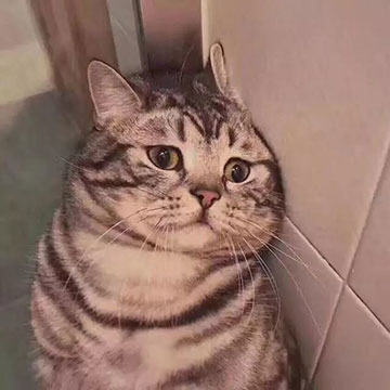 8月25-26日，南京人千万不要再错过了！