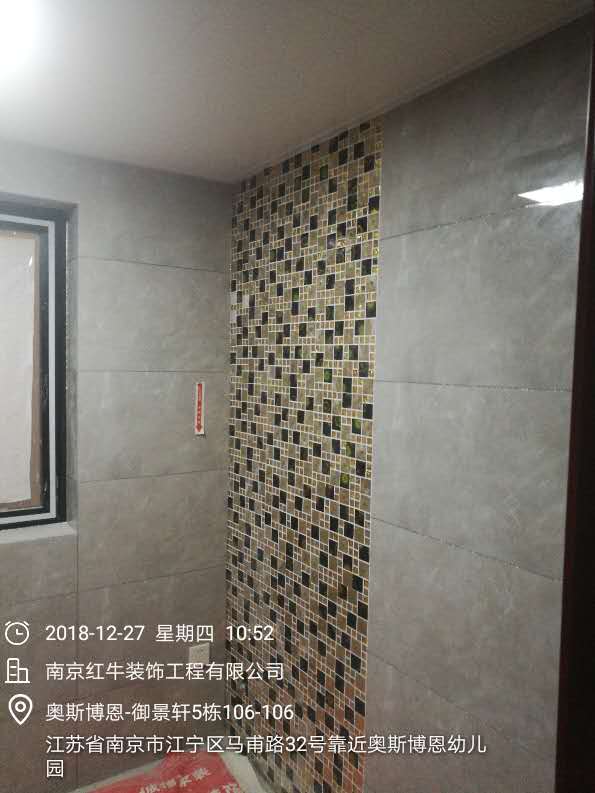 南京奥斯博恩工地收尾