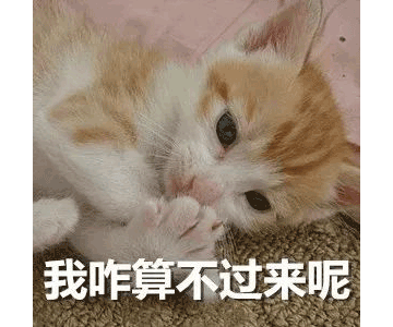 别等618了，本周末就能锁定装修优惠！