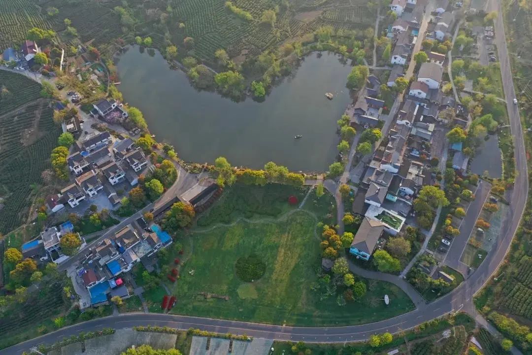 红牛装饰团建 | 黄龙岘茶文化村之旅