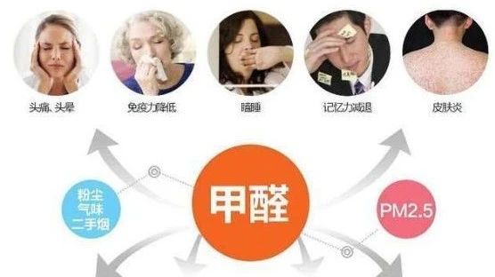 春季家装节，绿色焕新月，优惠享不停！