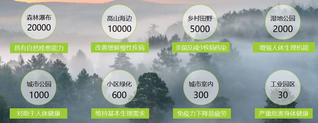 618家装风暴｜健康养生墙面全城首发！