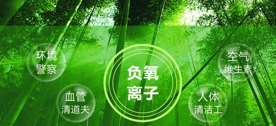 健康品质生活，从墙面开始！01负氧离子