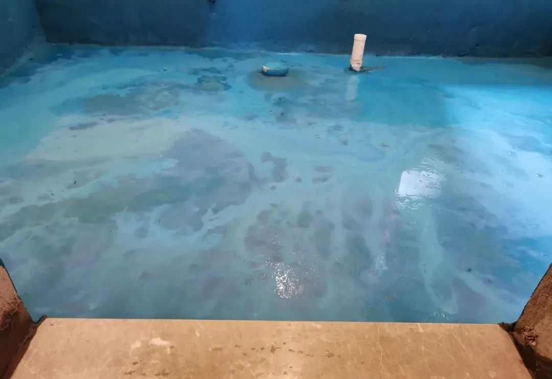 工地突击巡检｜没想到，这家工地竟治愈了我的“强迫症”