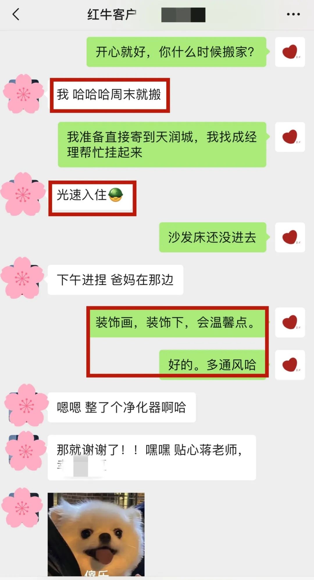 喜报｜金秋十月，收获满满，红牛装饰再获三面锦旗！05